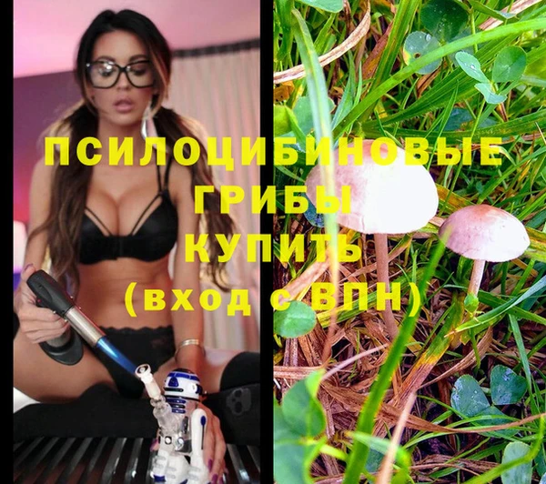 ГАЛЛЮЦИНОГЕННЫЕ ГРИБЫ Баксан