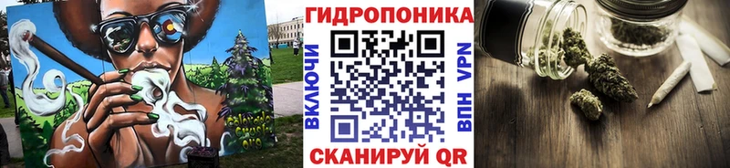 Каннабис OG Kush  Белозерск 